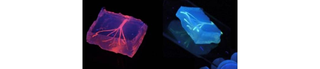 科学家利用3D打印技术成功制造出人工血管