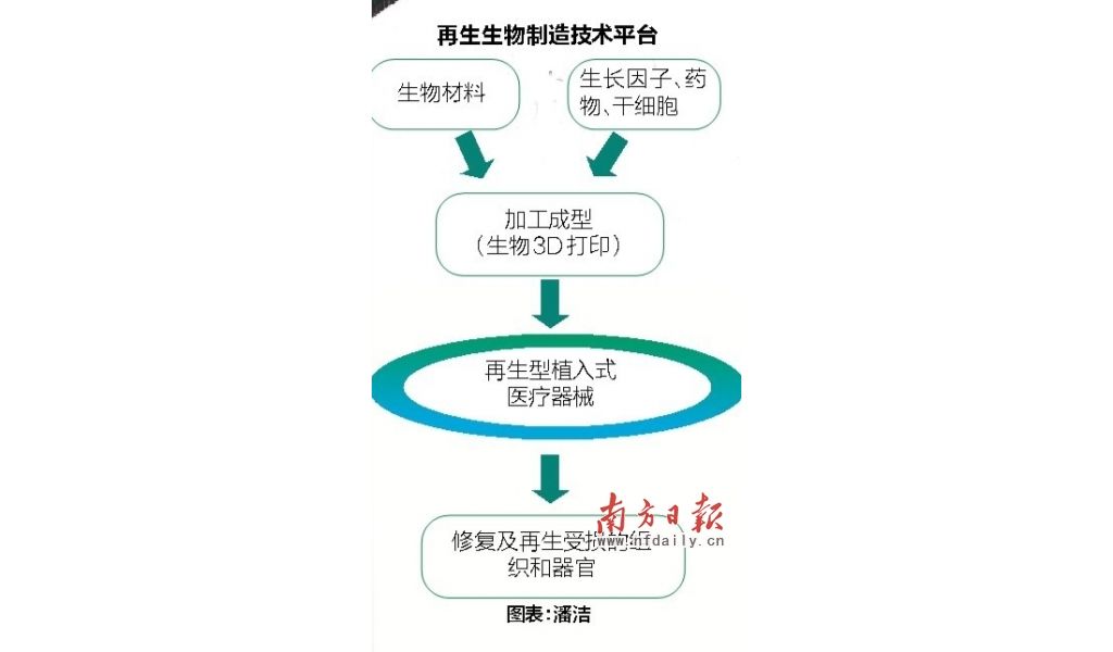 我国首个3D生物打印产品上市 可修复破碎的脑膜