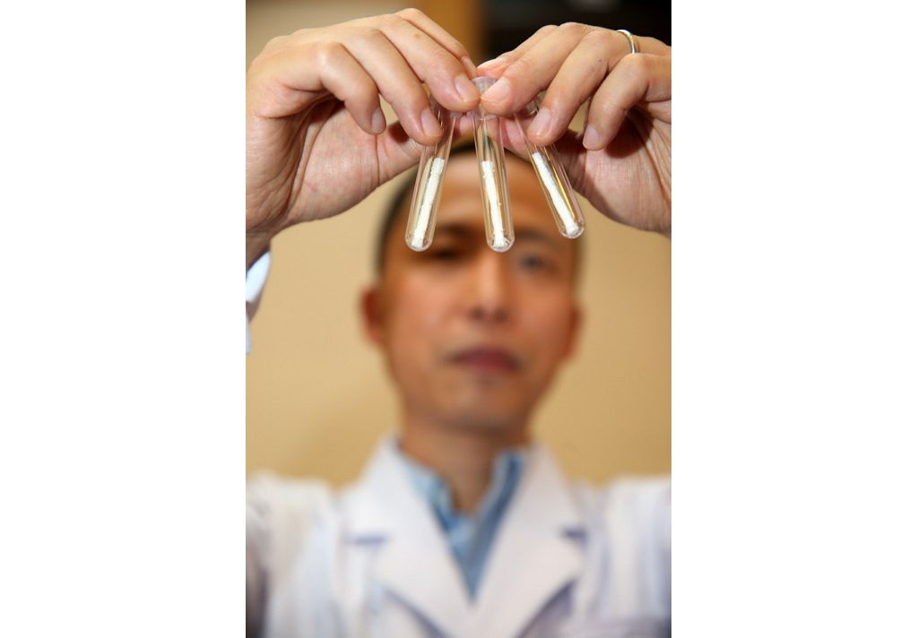我国自主研发的生物骨有望明年投产