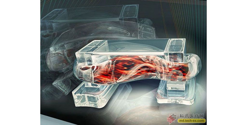 美国科学家研制出肌肉动力行走生物机器人