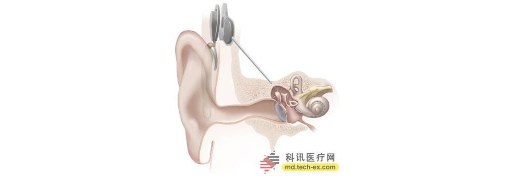细胞“胶水”有望开发新型生物材料
