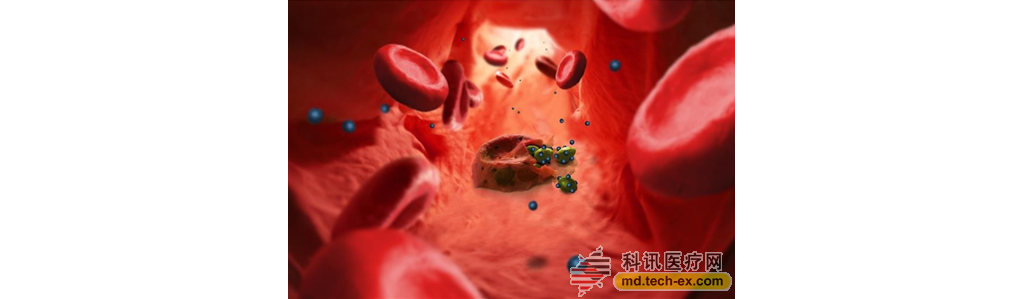 ACS Nano：新纳米模拟技术可阻断疟疾