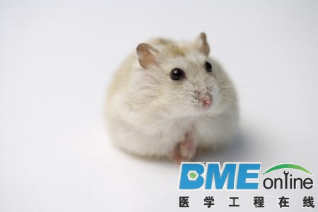 2015021109532844.png