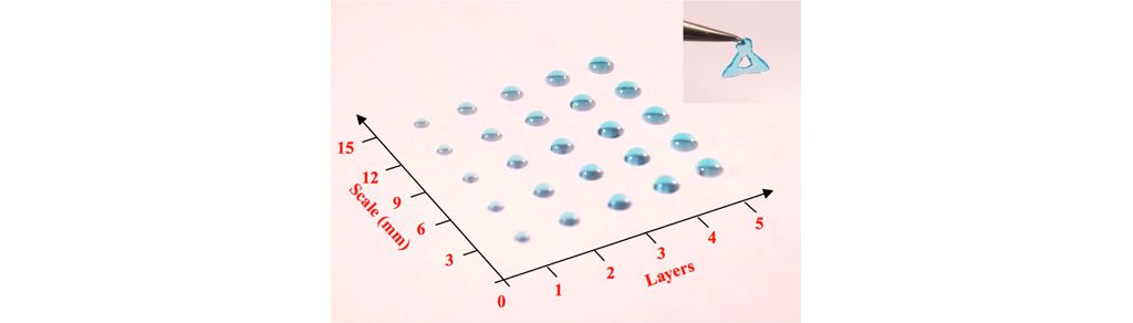 DNA水凝胶3D打印研究获新成果