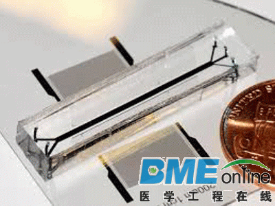 1428469921ee5ac7b7a6629642.gif