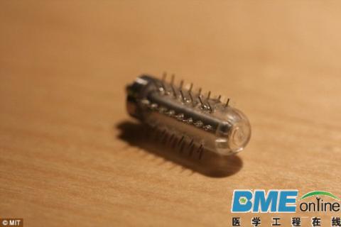 打针太可怕，MIT研究生发明微针胶囊