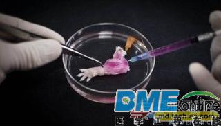 Biomaterials：有生命的生物假肢！