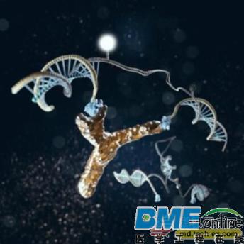 可以快速检测病毒的DNA纳米“机器”