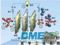 氢燃料电池存在优势