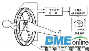 正电子相关贡献