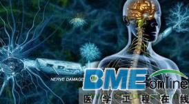 超低频生物电磁导入技术六大系统评估