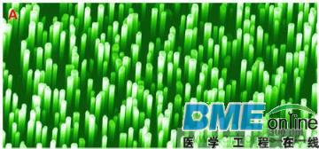 纳米发电机意义