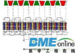 汽车发电机工作原理