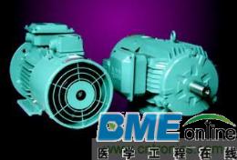 变频电机特殊设计