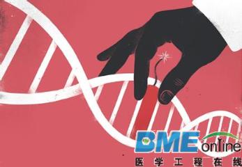 “基因剪刀”有望治疗遗传病