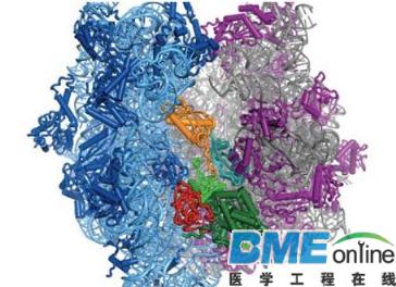 【盘点】2015年世界主要国家医学与生物学的重大进展