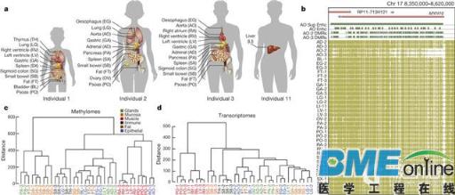 【盘点】美2015年十个重大科学成果，癌症将来或可自行消失