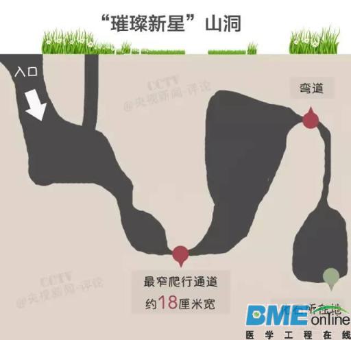 【盘点】美2015年十个重大科学成果，癌症将来或可自行消失