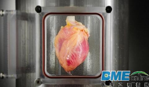 科学家最新突破！成功用皮肤细胞再生出心脏