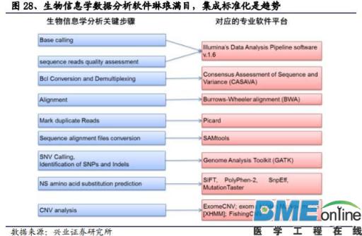 精准基石&mdash;基因测序行业深度报告