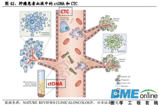 精准基石&mdash;基因测序行业深度报告