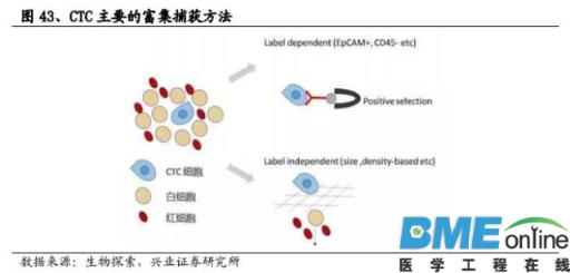 精准基石&mdash;基因测序行业深度报告