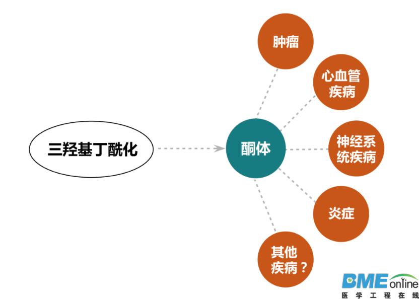 【重大发现】表观遗传修饰家族又添新成员 & 组蛋白丁酰化新功能诠释