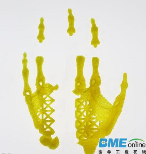艺术家正用3D打印支架和干细胞