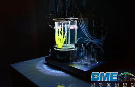 艺术家正用3D打印支架和干细胞