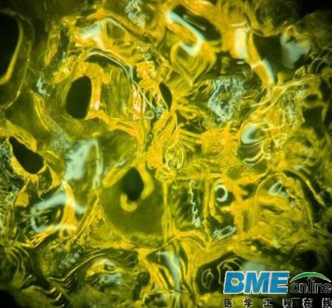 艺术家正用3D打印支架和干细胞