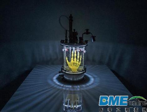 艺术家正用3D打印支架和干细胞