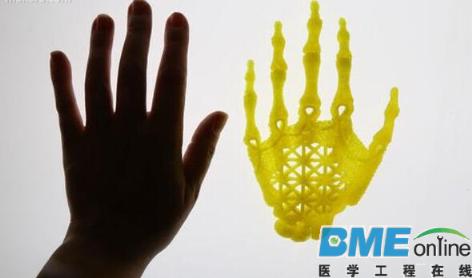 艺术家正用3D打印支架和干细胞