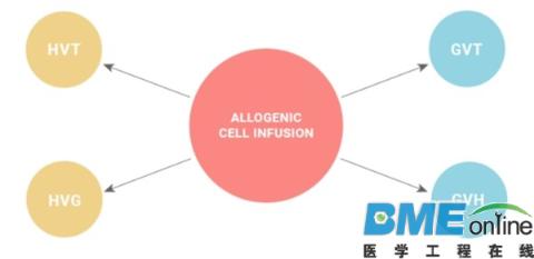 升级版免疫疗法：有望彻底治愈癌症