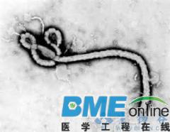 FDA授予强生埃博拉病毒检测试剂盒（Idylla EBOV Test）紧急使用授权（EUA）