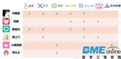 2016Q1中国上门美业O2O行业研究报告：轻医美是未来一大趋势