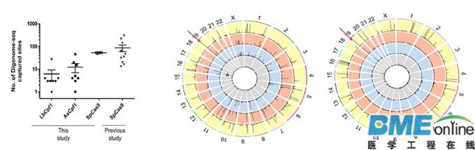 CRISPR/Cpf1基因组编辑几乎没有脱靶效应