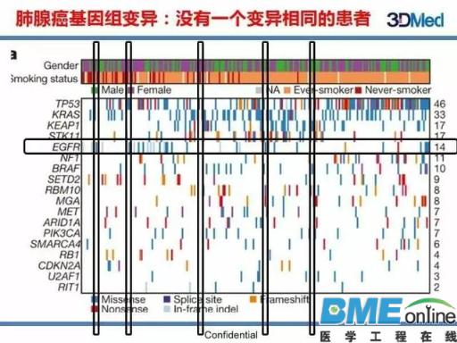 基因组大数据如何塑造肿瘤精准治疗