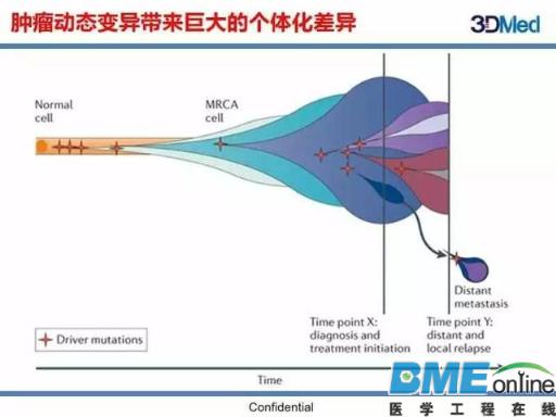 基因组大数据如何塑造肿瘤精准治疗