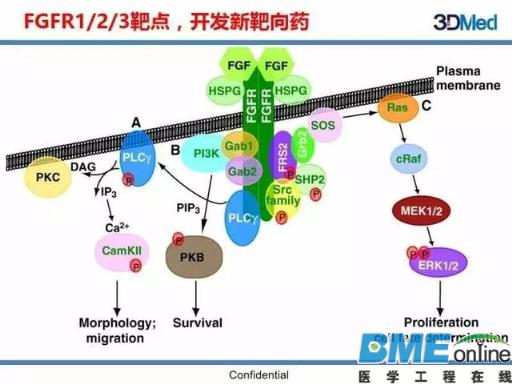 基因组大数据如何塑造肿瘤精准治疗