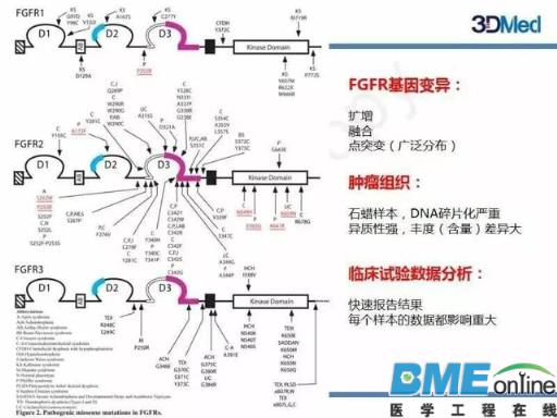 基因组大数据如何塑造肿瘤精准治疗