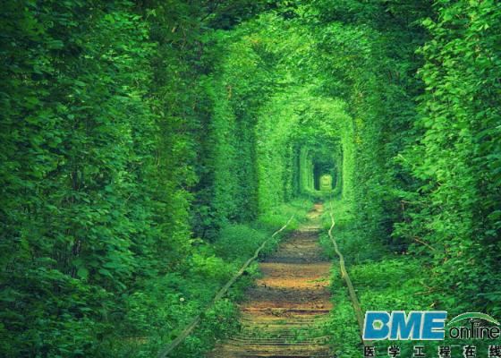 CFDA发布医疗器械优先审批意见稿