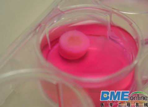 科学家找到3D打印更接近天然软骨组织的方法