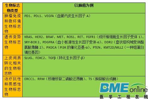 精准医疗中最有前景的四类生物标志物