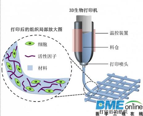 3D技术还可以打印人体器官
