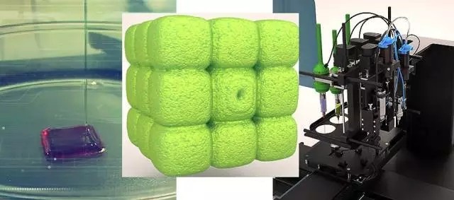 俄罗斯3D打印公司豪言：明天我要打印医用人工肾脏！