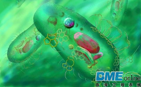 【探索】纳米传感器、芯片为医疗带来的几大黑科技