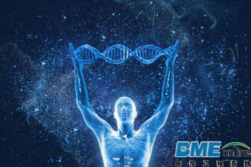 科学家最新研究称现实中存在三种“人类嵌合体”现象