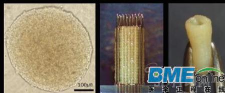 日本逆天生物医疗3D打印 或可实现&ldquo;再生复活&rdquo;