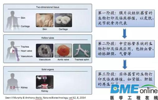 生物医疗3D打印技术的几大要素和发展方向是什么？