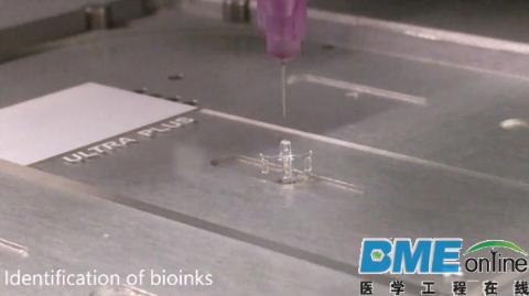 新西兰科学家利用生物医疗3D打印和干细胞制造出可再生新骨骼
